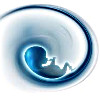 Хранение витрифицированных эмбрионов