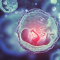 Криоперенос эмбрионов сопряжен с высоким риском гипертонии у беременной